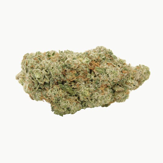 Cannabis Kingdom - Alien OG - 1