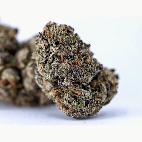Animal - Cocopuffs - Hybrid - 31.00%THC - 1
