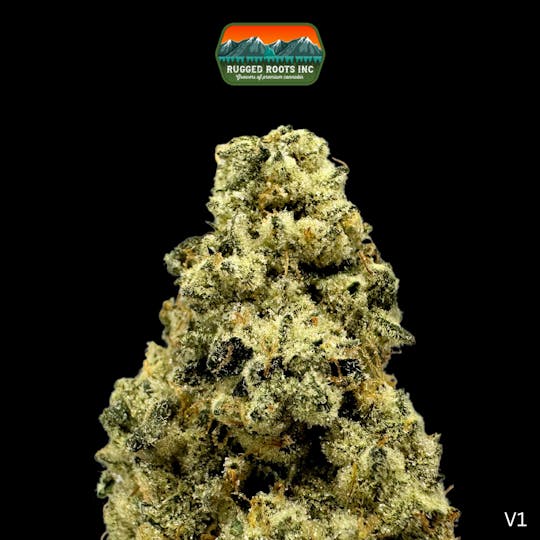 Rugged Roots - Rugged Roots | Maple Drip 3.5g - 1