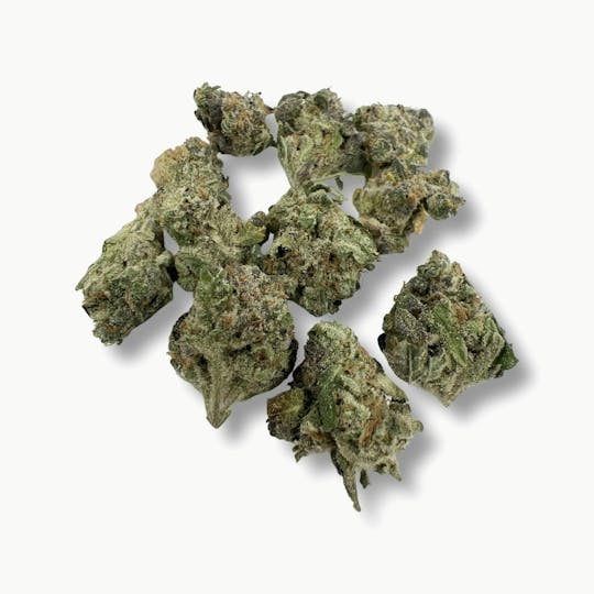 Indico - Space Biscut - Smalls - 1