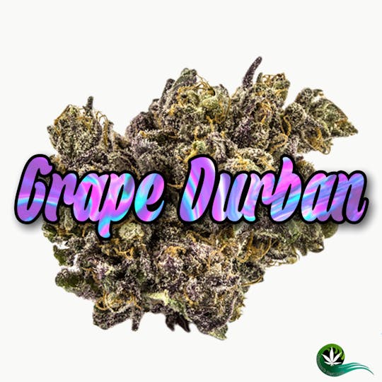 Shannon's Best Buds - Grape Durban - 1