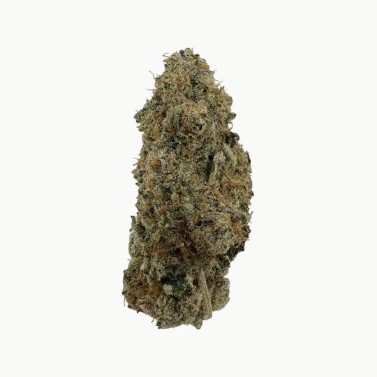Indico - Grape Tangie - 1