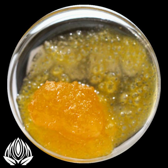 Peak Maine Cannabis - Crescendo Rocks & Sauce - Peak Maine - 1