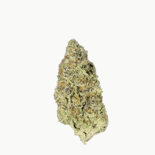 Bay Life - Dosi Orange - 1
