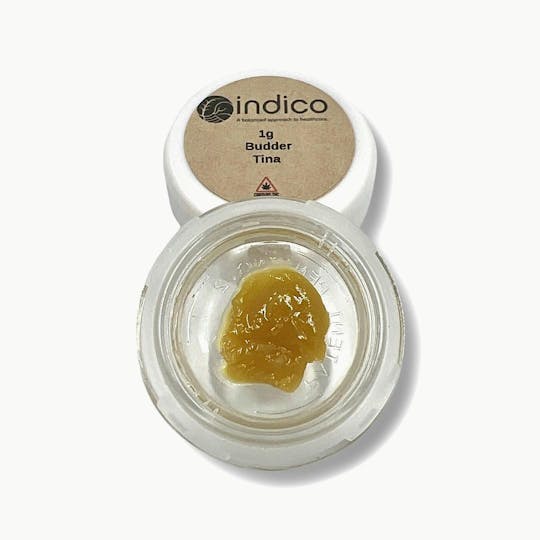 Indico - Tina Badder - 1