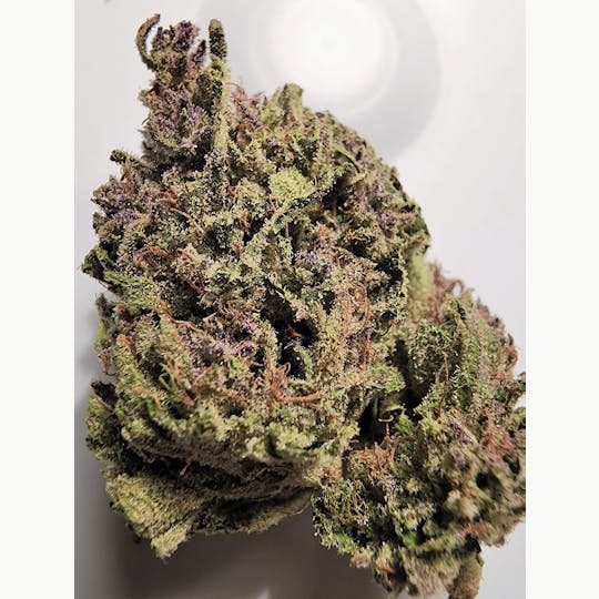 Daedalus Craft Cannabis - Ancient OG Project - 1