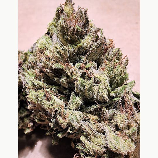 Daedalus Craft Cannabis - Lil' Wayne - 1