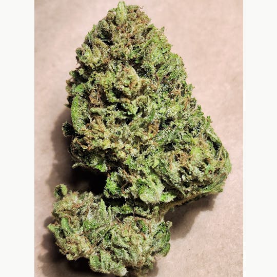 Daedalus Craft Cannabis - Enchanted Rose - 1