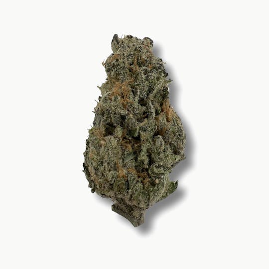 Indico - Grimace OG - 1
