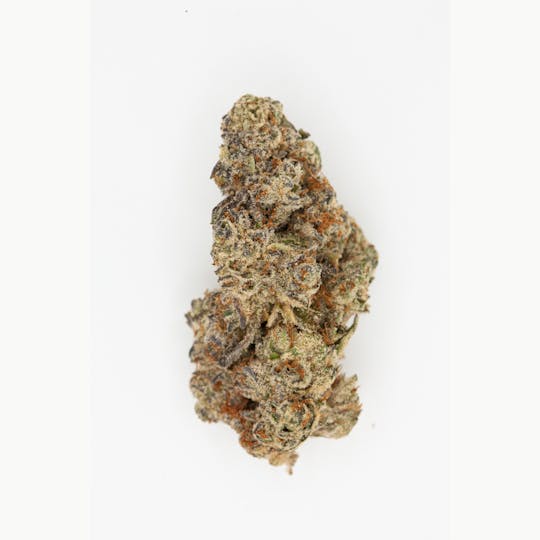 P37 - Bluntz - 1