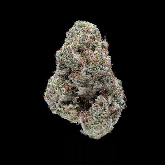 P37 - Lemon Drip - 1