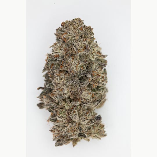 P37 - Oreoz - 1