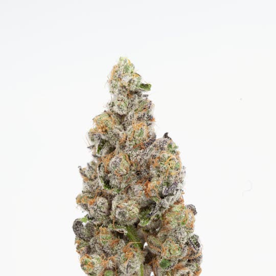 P37 - Supreme Oreoz - 1