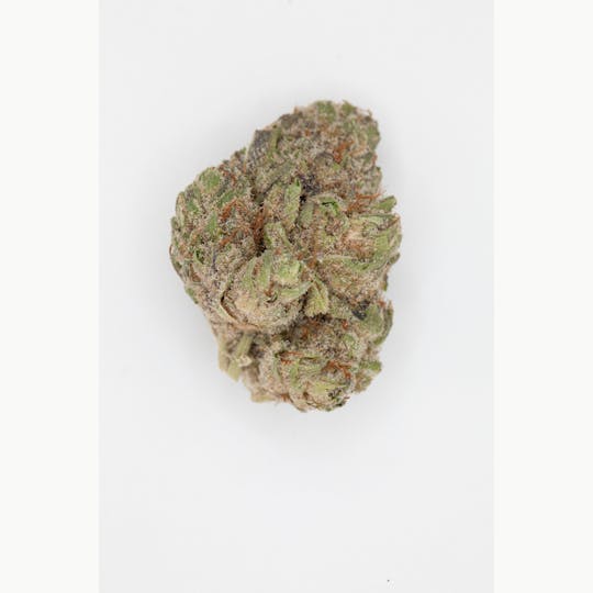 P37 - Twisted Banana - 1