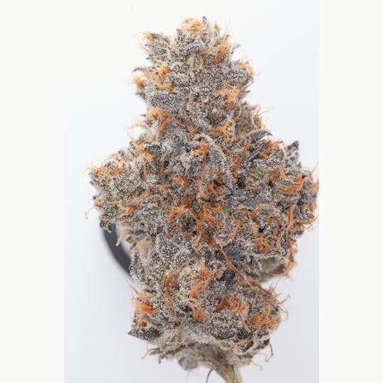 P37 - White Runtz - 1