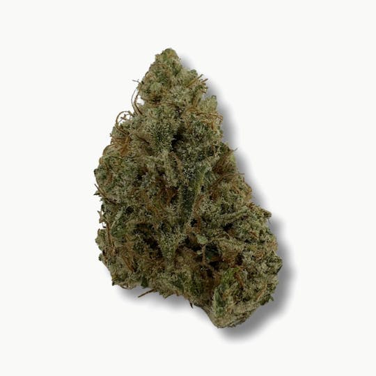 Indico - Sasquash Apoxy - $100oz - 1
