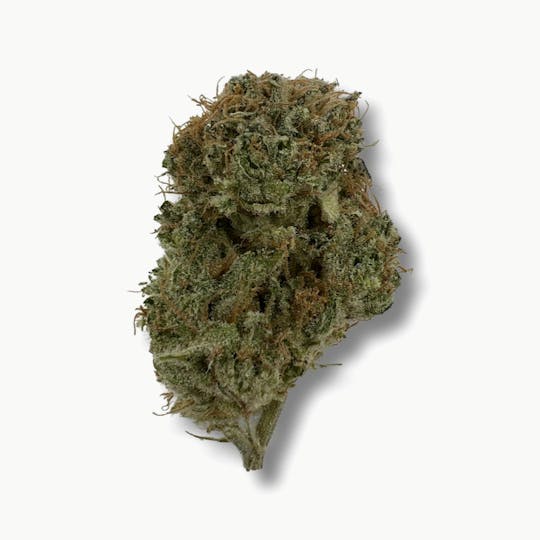 Indico - Master Kush X Red River Delta - $100oz - 1