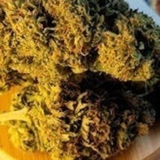 Daedalus Craft Cannabis - $75 Ounce of the Day - Doja Cookies SMALLS ONLY - 1