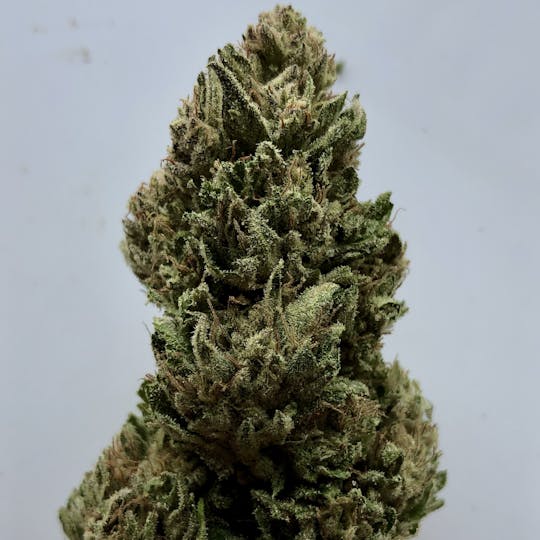 Daedalus Craft Cannabis - Yosemite Glue - 1