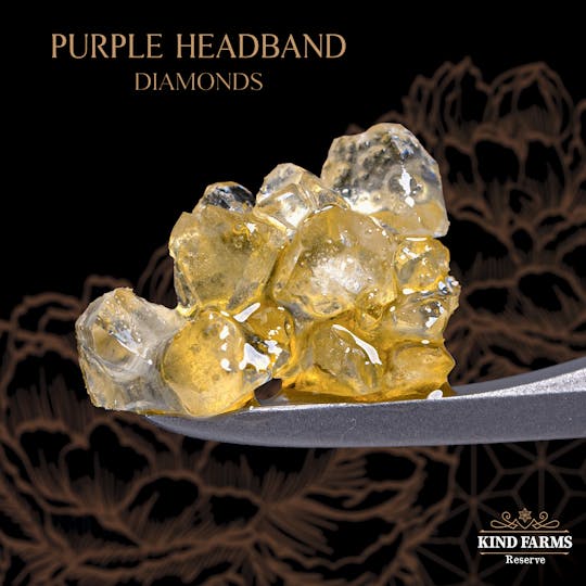 Kind Farms Reserve - Purple Headband Live Diamonds and Sauce - Kind Farms Reserve - 1