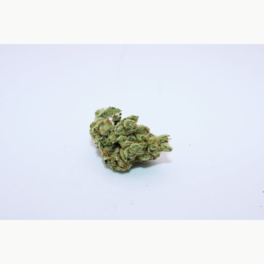 Trusty Transportations - Cheetah Piss 1/2 Ounce/7Grams(26%THC,Hybrid) - 1