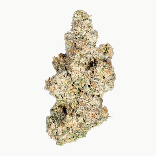 Blue Chip - Zerbert #12 - 1