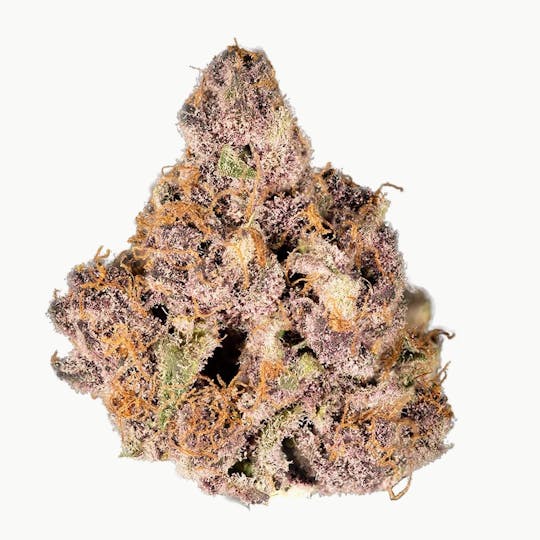 Blue Chip - Guava Lemonade #22 - 1