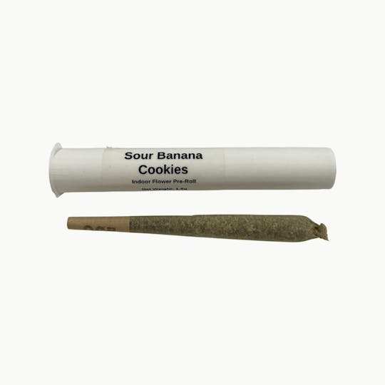 Indico - Sour Banana Cookies - 1.5g Pre-Roll - 1