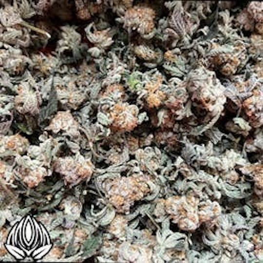 Peak Maine Cannabis - Economy - Mister Fuzion - Peak Maine - 1
