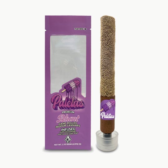 Paletas - Paletas: Ice Cream Cake- Premium Infused Blunt (2.1g) - 1