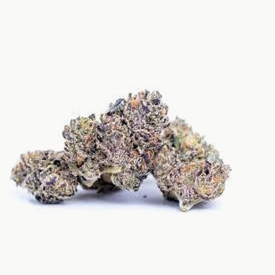 Cannafeen - GELATO 41 34.9% - 1