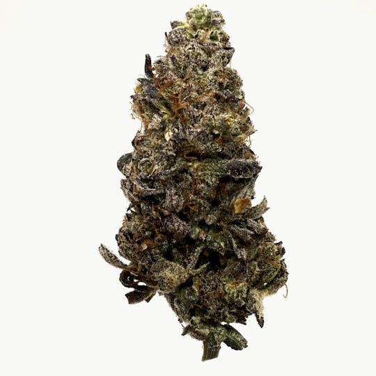 Northeast Alliance - Golden Cobra ($40 Half/$75 OZ) - 1