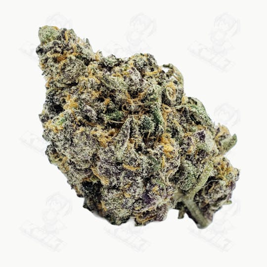 Oro - BISCOTTI RUNTZ *EXOTIC* - 1