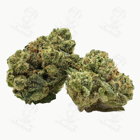 Oro - LEMON CHERRY GELATO *ULTRA EXOTIC SMALLS* - 1