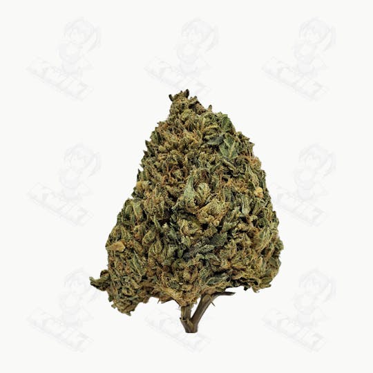 Oro - CAKE MIX *TOPSHELF* - 1