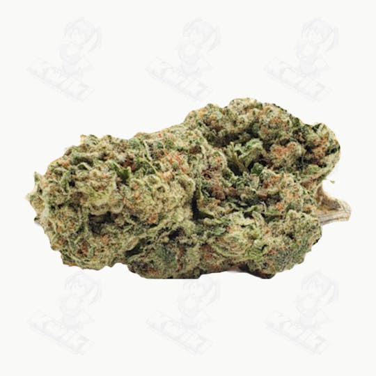 Oro - CROSTATA KUSH *GREENHOUSE* - 1