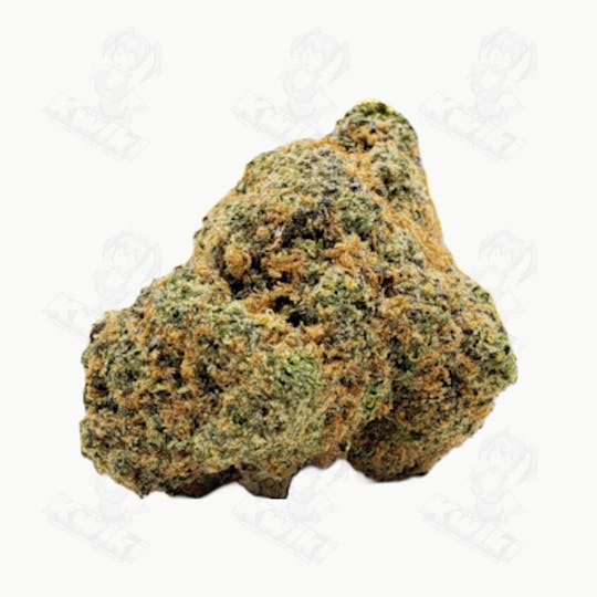 Oro - PURPLE POWER *GREENHOUSE* - 1