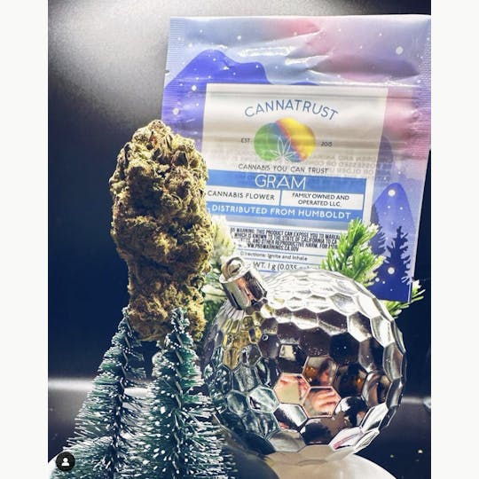 Trusty Transportations - Apple Fritter 1 Gram ( 33% Thc, Hybrid) - 1
