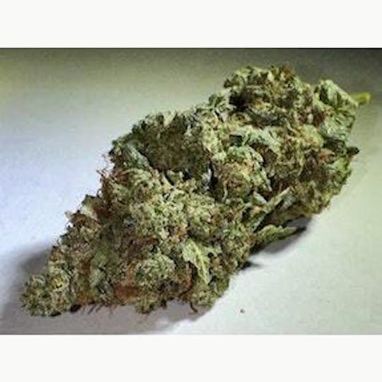 PONO LIFE MAUI - Snowcap - 1