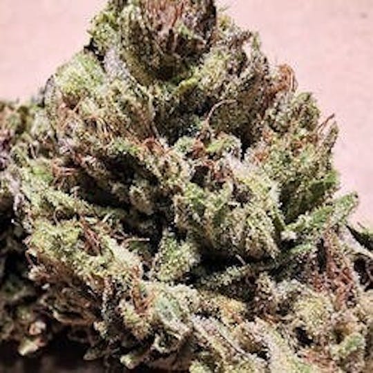 Daedalus Craft Cannabis - $100 Ounce of the Day - Lil' Wayne - 1