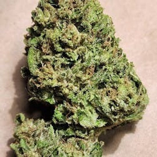 Daedalus Craft Cannabis - $100 Ounce of the Day - Enchanted Rose - 1