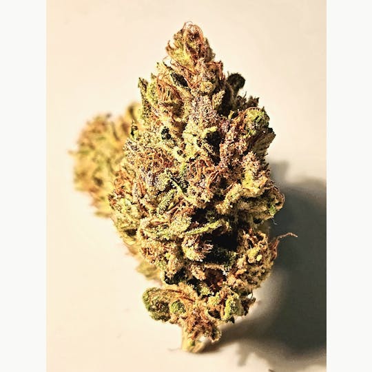 Daedalus Craft Cannabis - $80 Ounce of the Day - Jager OG - 1