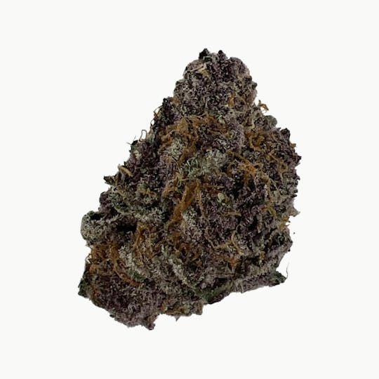 Indico - Tropicana Cherry - 1