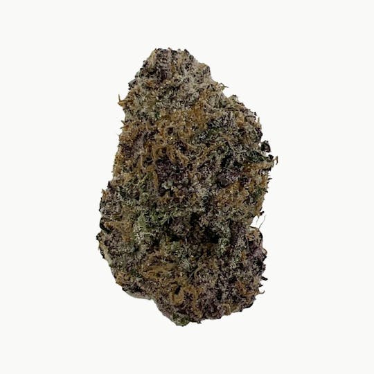 Indico - Chem Chillz - 1