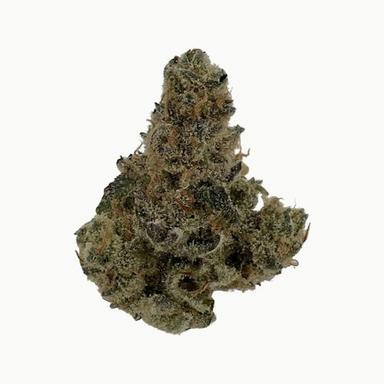 Indico - Banana Punch - Casco Botanicals - 1