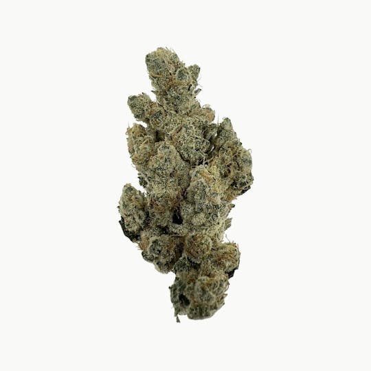 Indico - Garlic Cocktail - 1