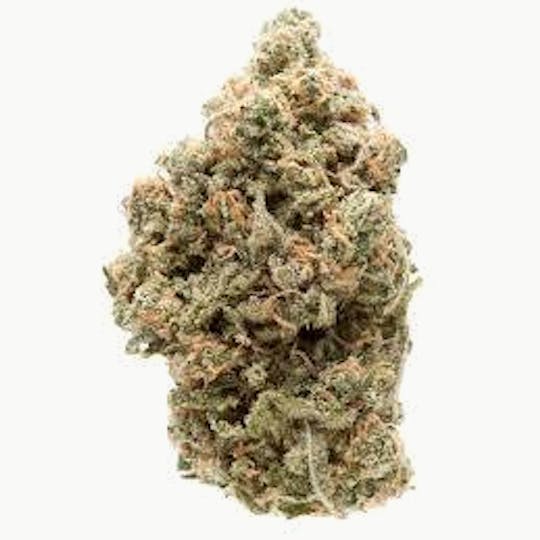 Cannafeen - SUNSET SORBET - 1