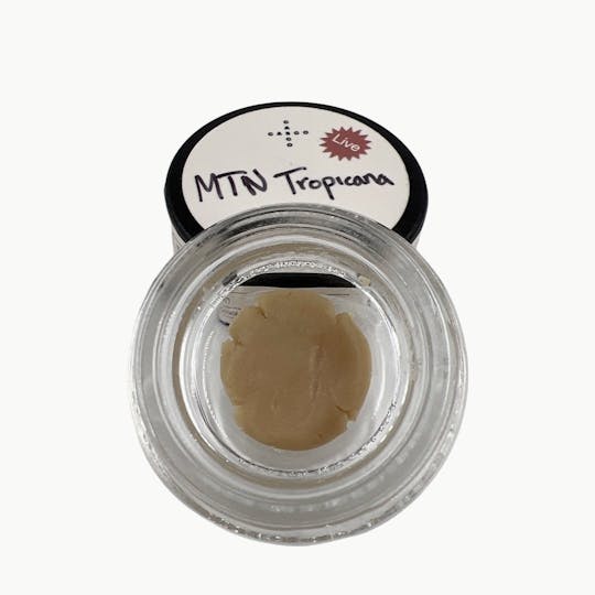 Indico - MTN Tropicana Rosin - Casco Botanicals - 1