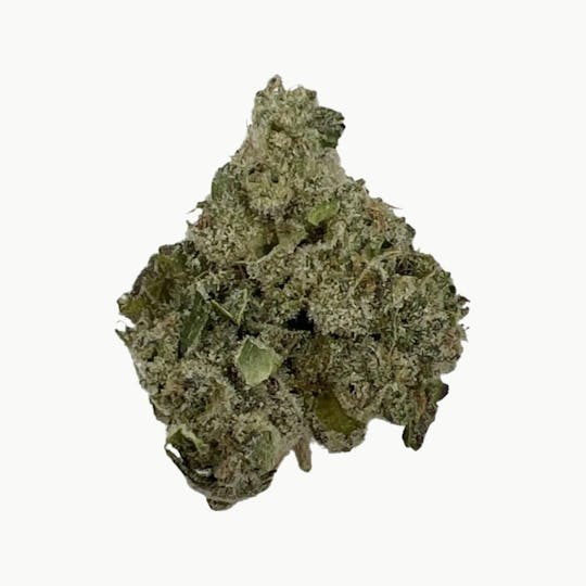 Indico - Bananaconda - 1