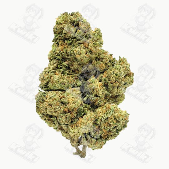 Oro - MAUI WOWIE *TOPSHELF* - 1